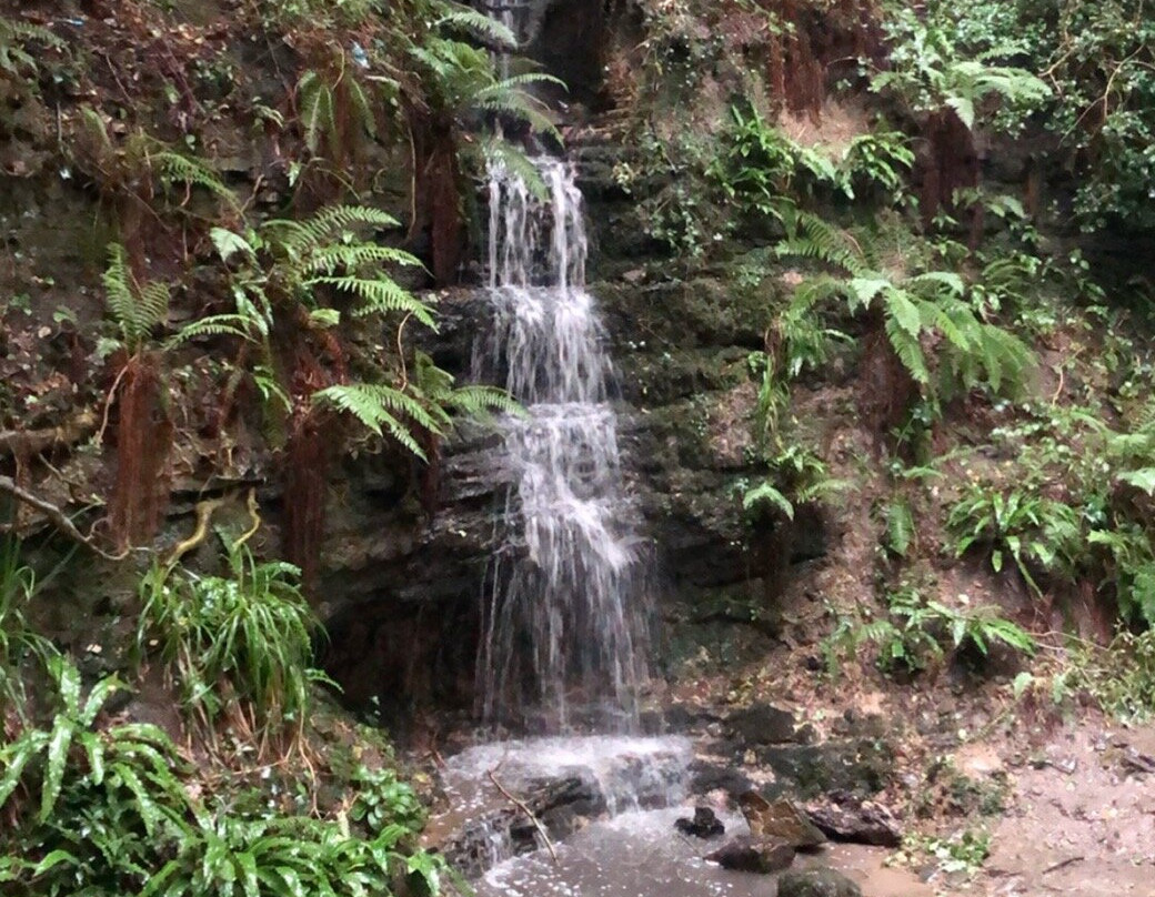 Old Roar Gill-海斯廷斯必去景点