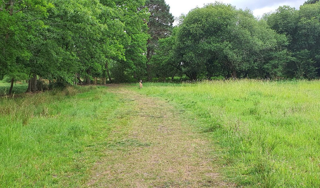 Bramshot Farm Country Park景点图片