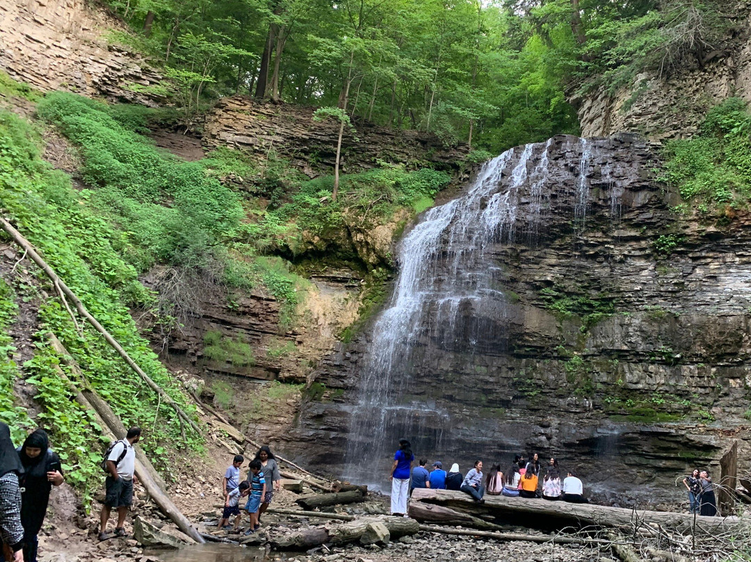 Tiffany Falls Conservation Area-安卡斯特必去景点