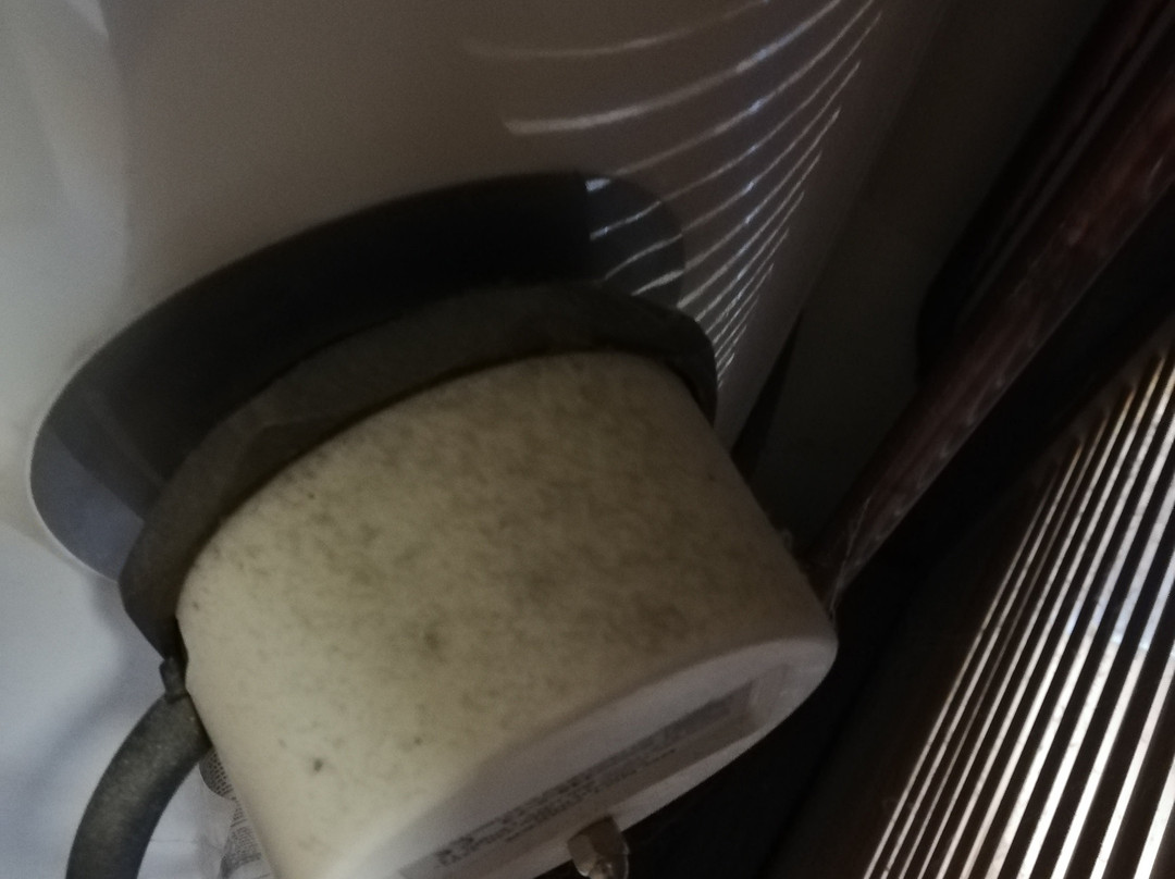 The Great Escape主图