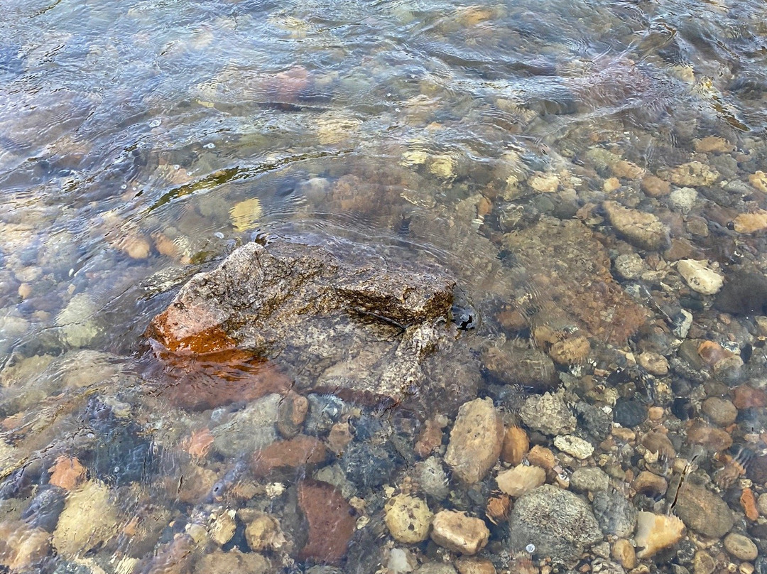 Buena Vista River Park-布埃纳维斯塔必去景点
