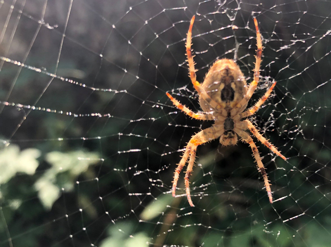 Turgenskiy Medvezhiy Waterfall-Almaty Region必去景点