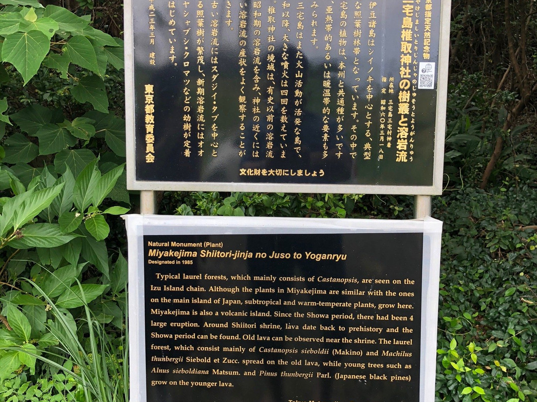 Shitori Shrine-三宅岛必去景点