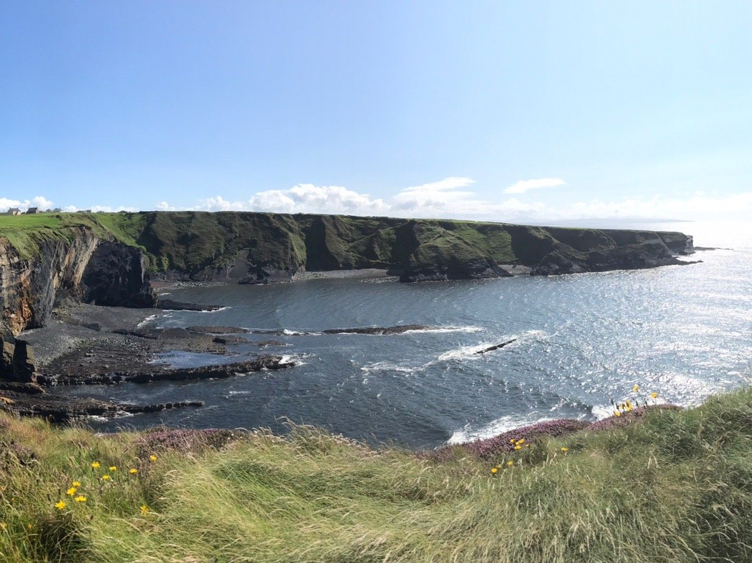 Bromore Cliffs-Ballybunion必去景点