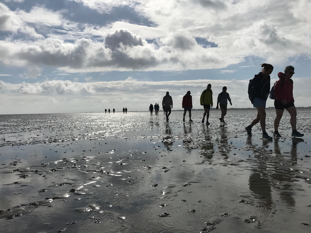 Wattwanderzentrum Ostfriesland-Harlesiel必去景点