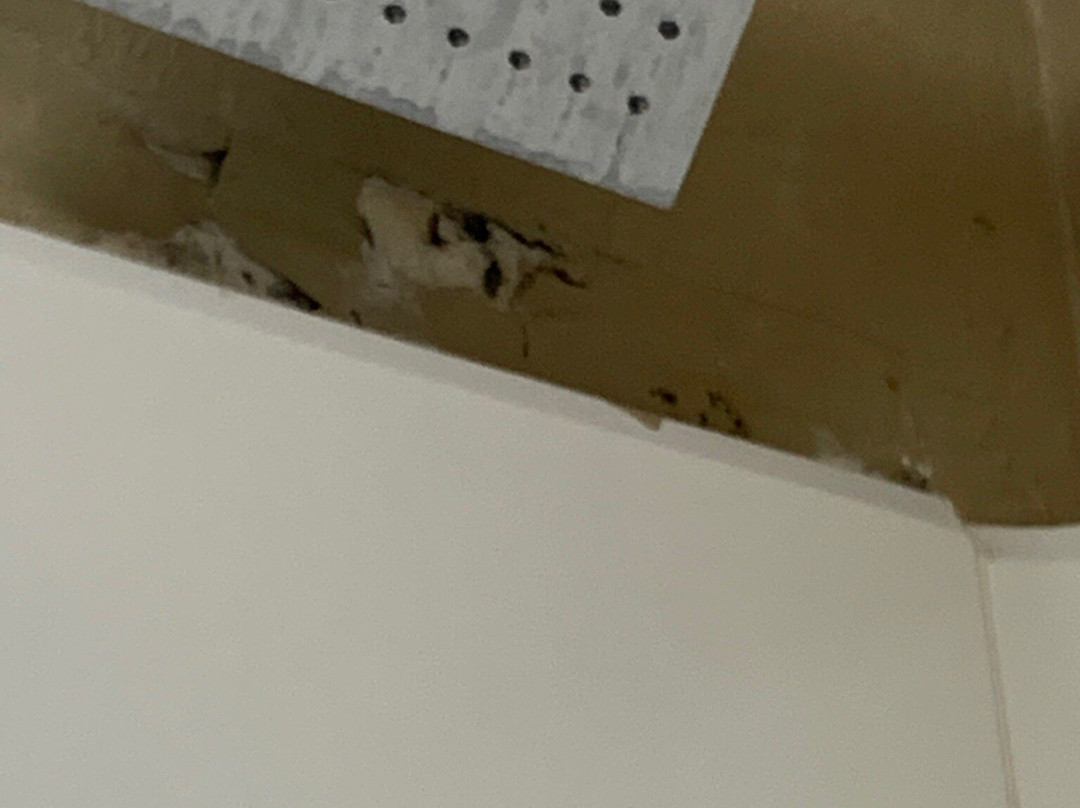 SureStay By Best Western Lenoir City主图