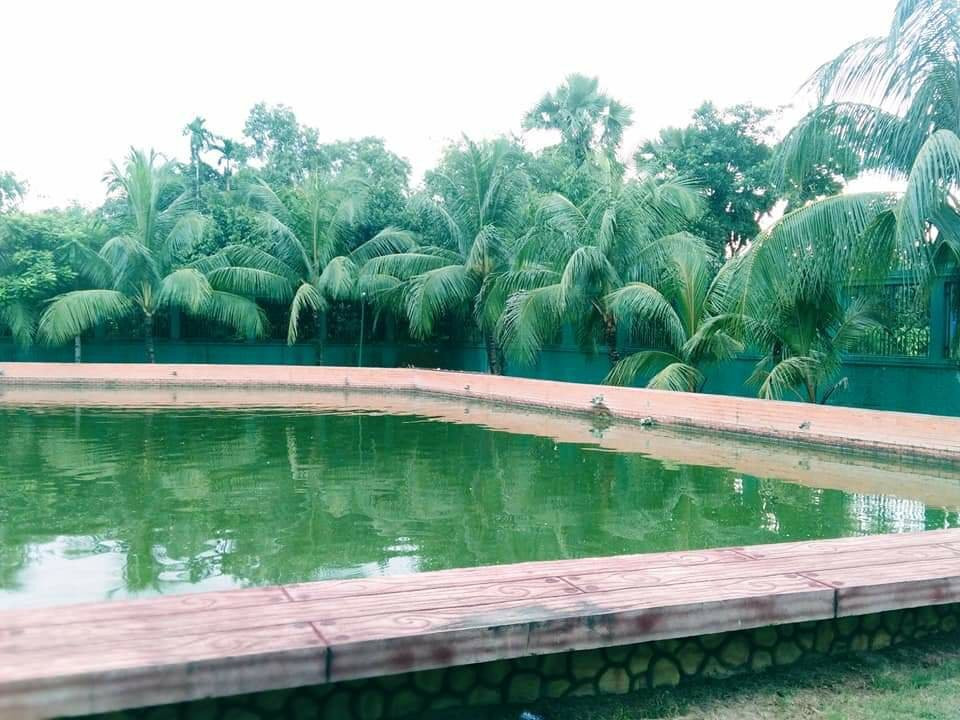 Green View Golf Resort主图