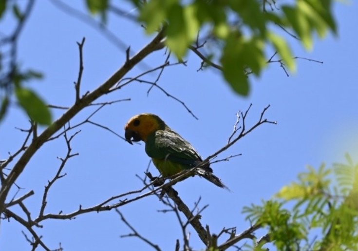 Dos Pos-Rincon必去景点