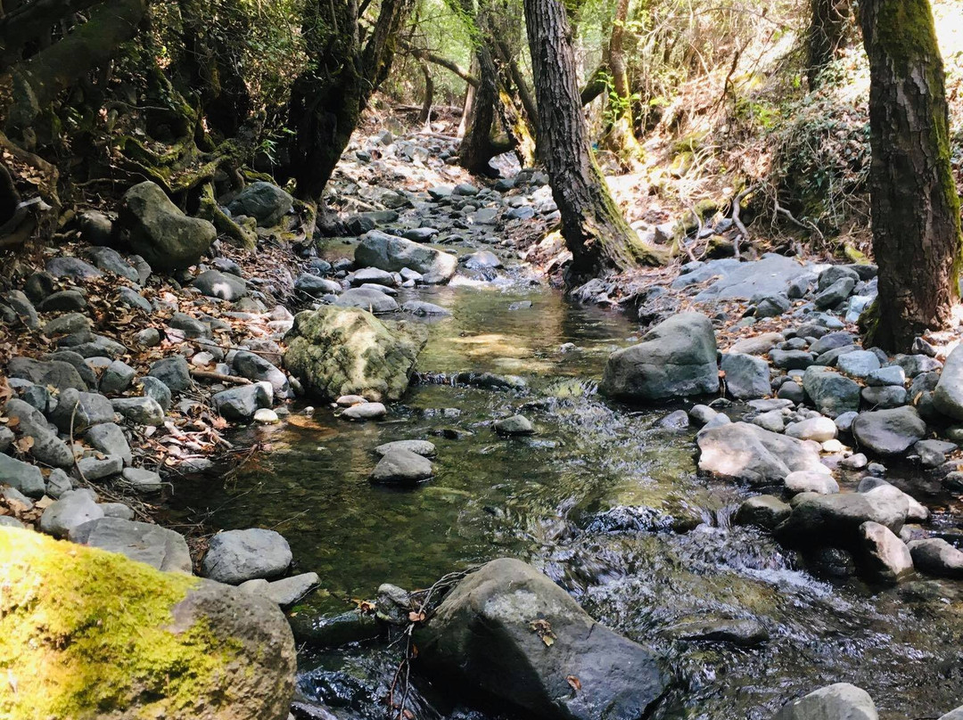 Milia Medieval Bridge-帕拉翠斯必去景点