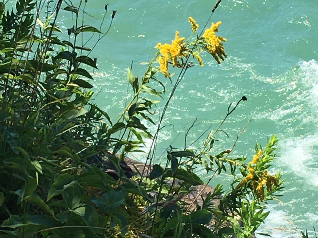 Robert G. Wehle State Park-Henderson必去景点