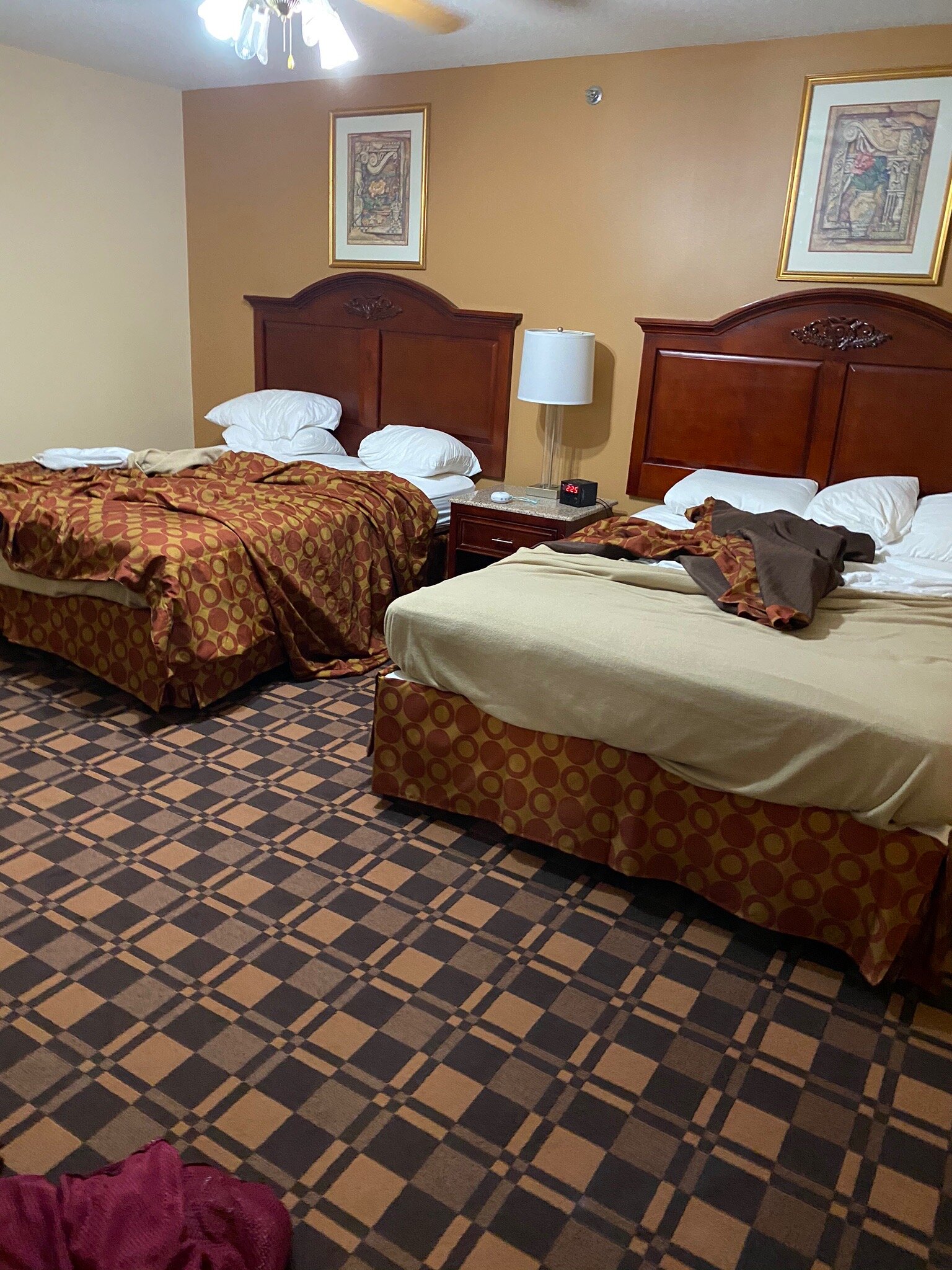 Cabot Inn & Suites-官方