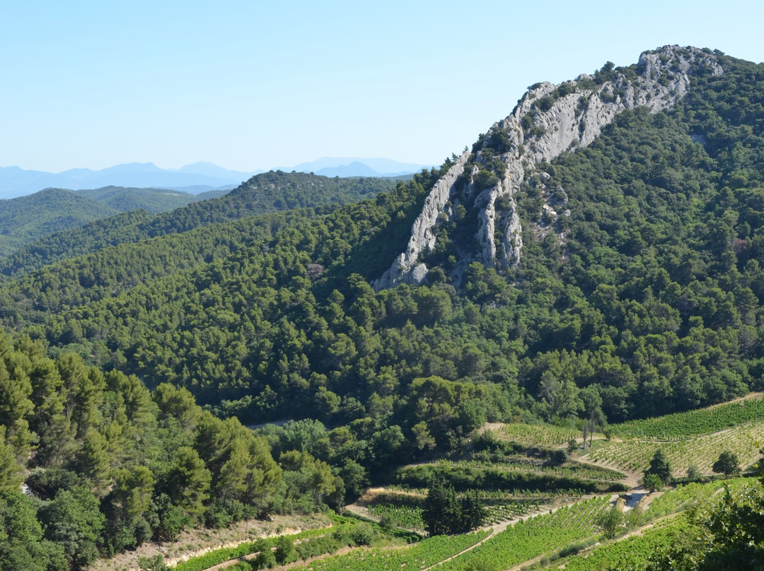 Dentelles De Montmirail景点图片