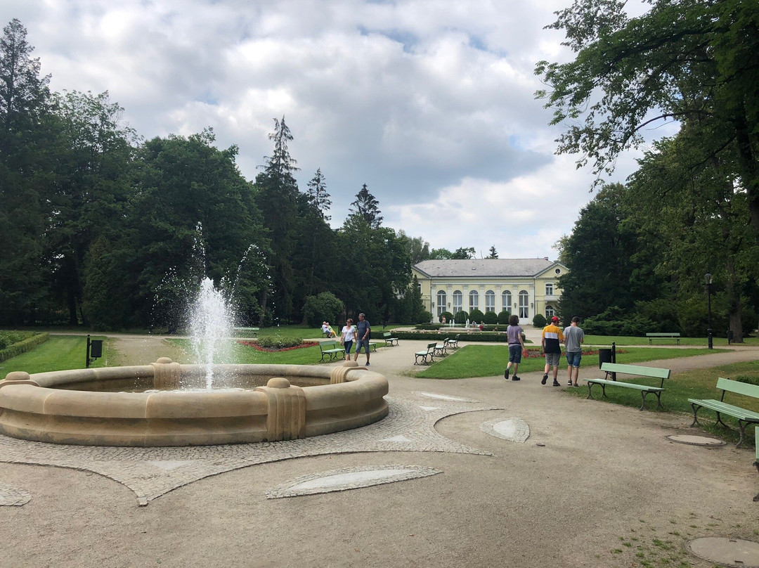 Schaffgotsch Palace in Cieplice景点图片