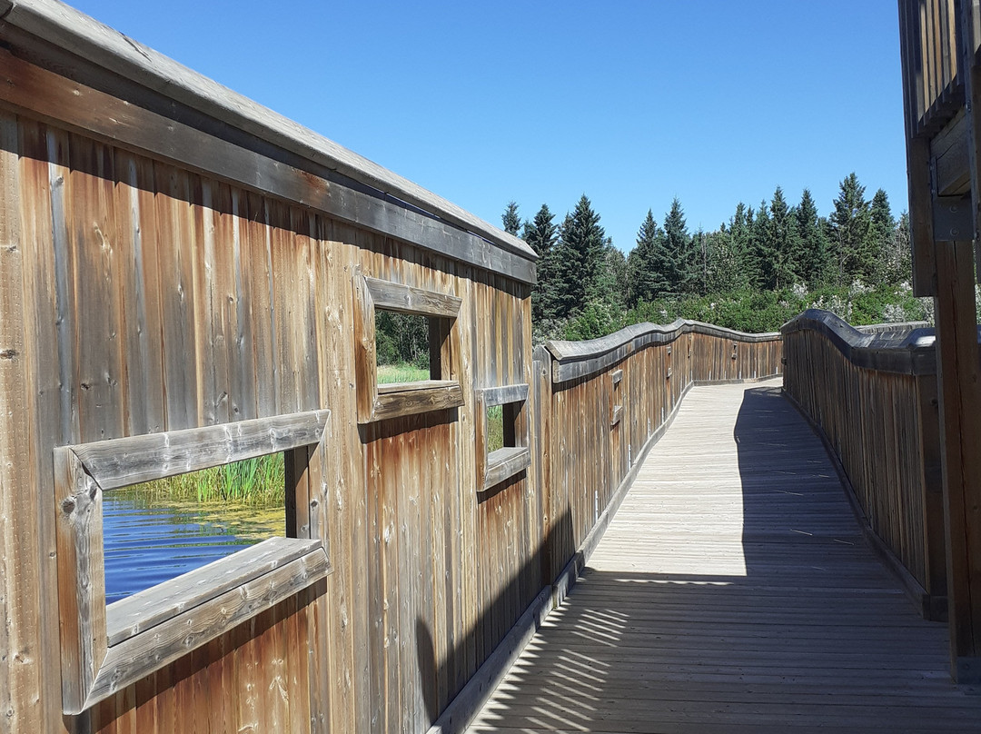 凯瑞伍德自然中心-红鹿市必去景点