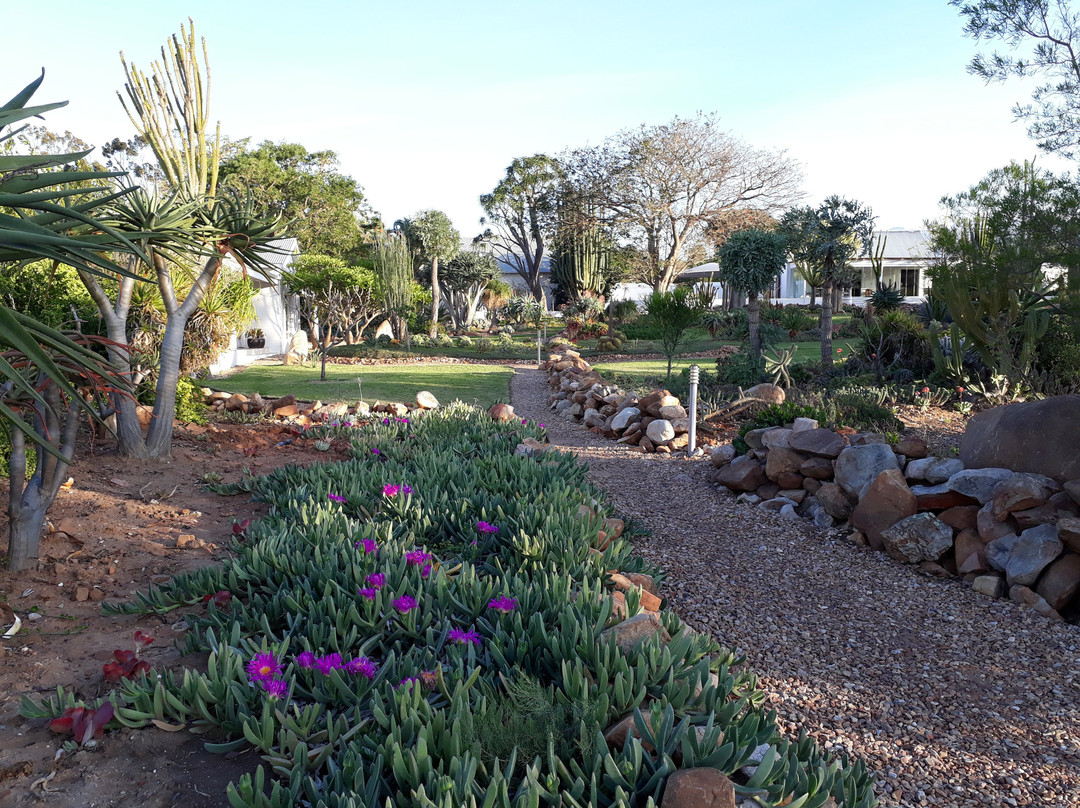 Mo & Rose at Soekershof主图