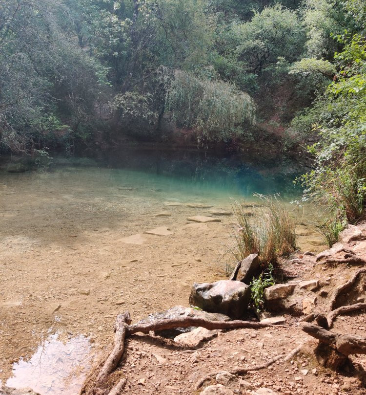 Resurgence de Fontvive