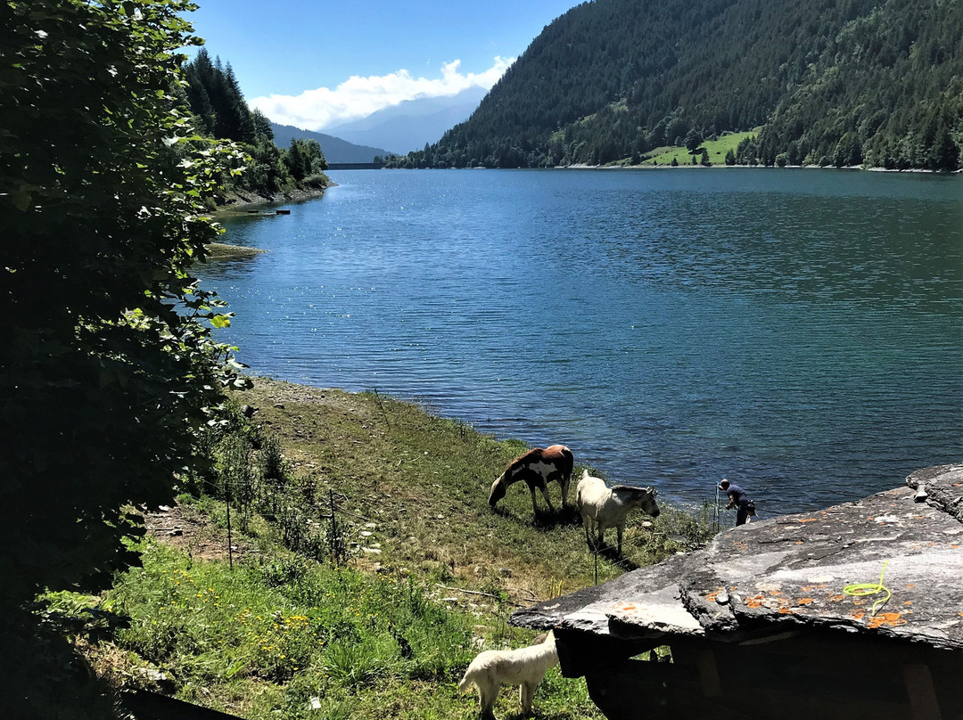 Lago di Pontechianale景点图片