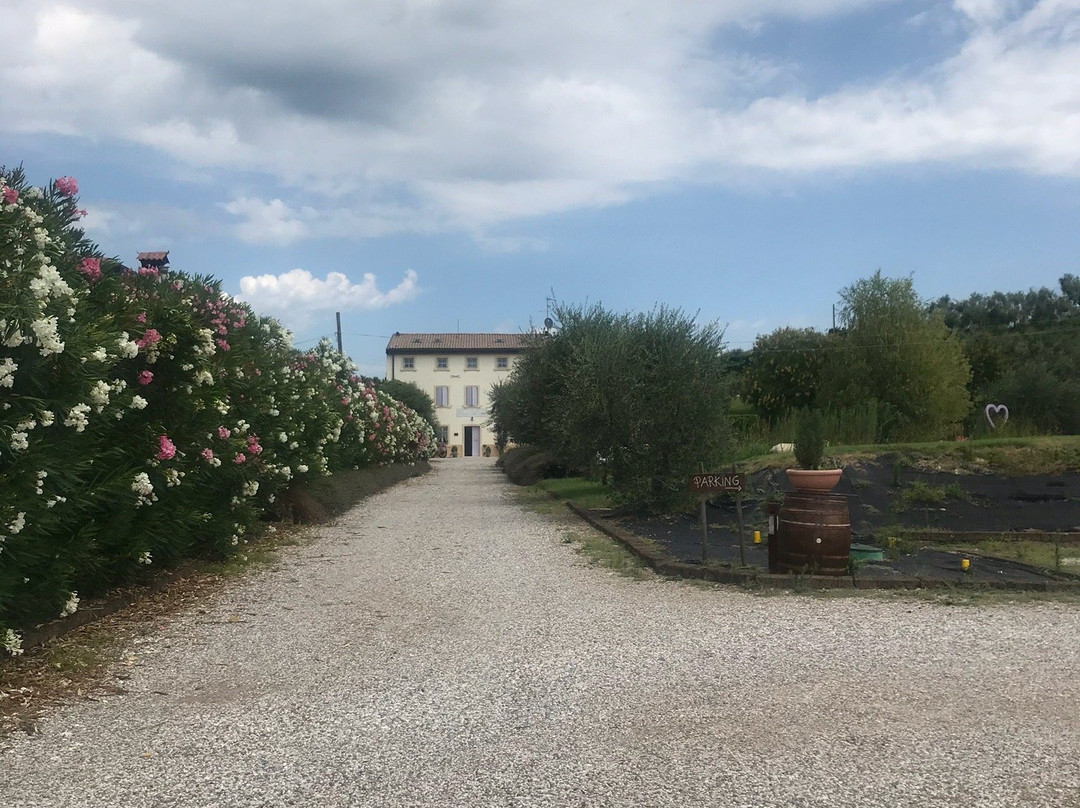 Agriturismo Casa Aurora主图