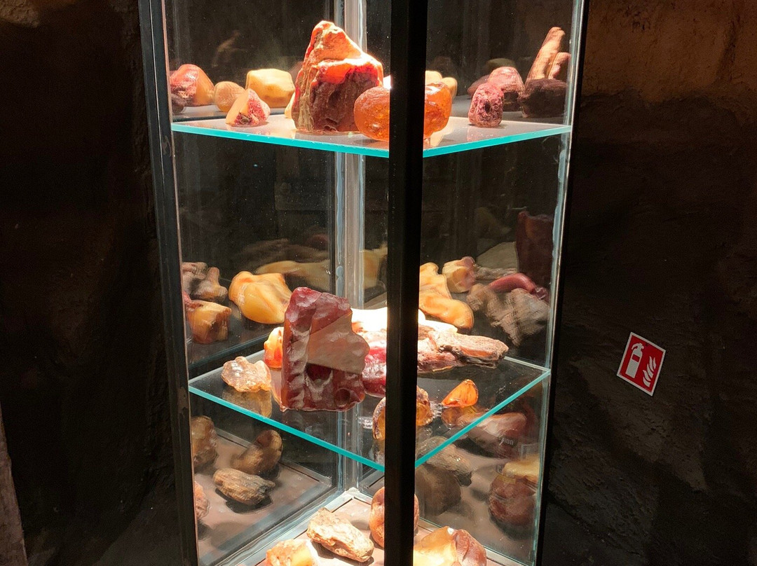 Amber Museum景点图片