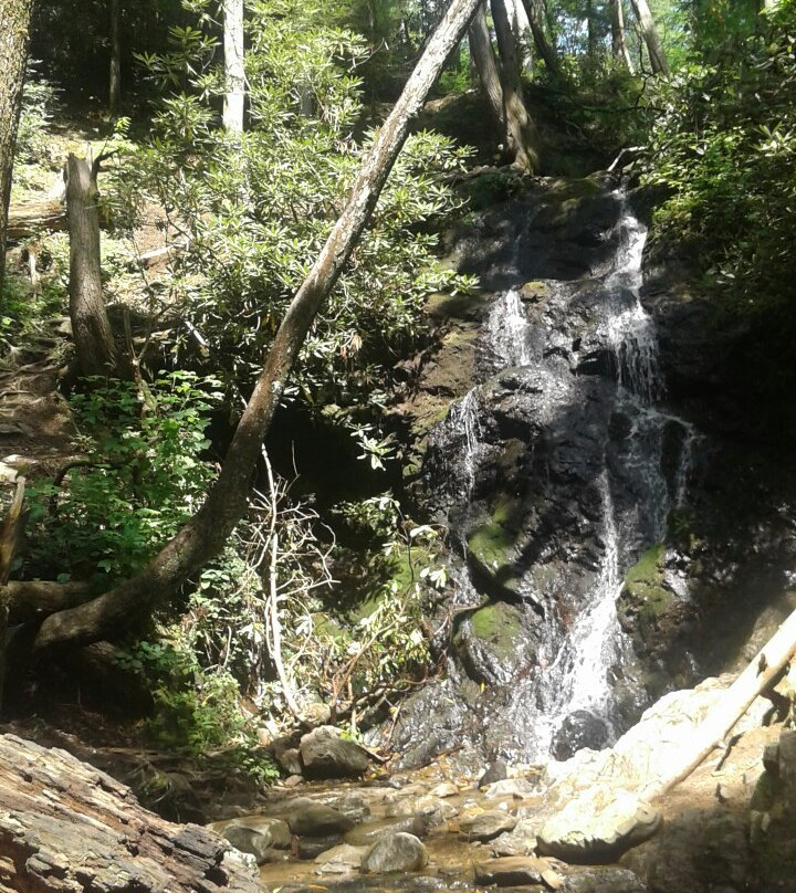Cades Cove Visitor Center-大雾山国家公园必去景点