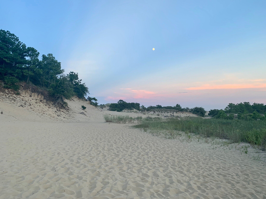 Tracks in the Sand景点图片