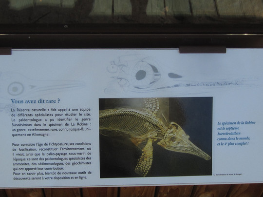 L'Ichtyosaure-La Robine-sur-Galabre必去景点