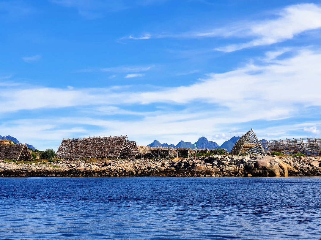 RIB-Lofoten-斯沃尔韦尔必去景点