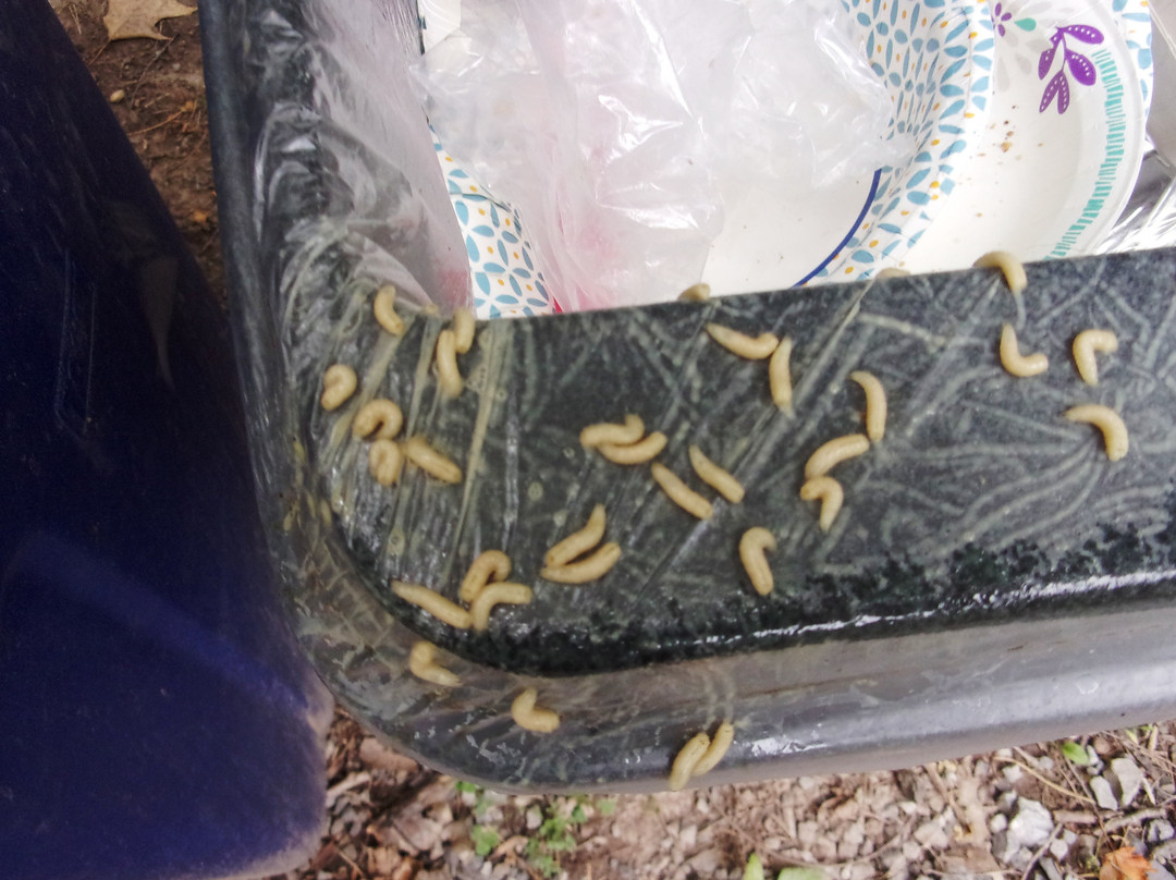 Captain's Cove主图