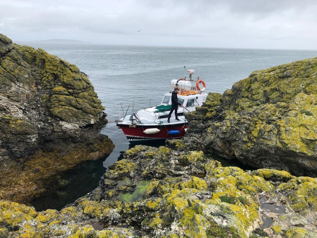 Howth Cliff Cruises-霍斯必去景点