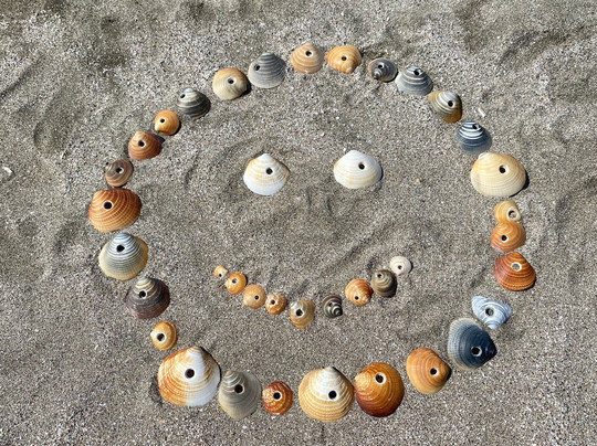 Kaigarahama Beach-礼文町必去景点