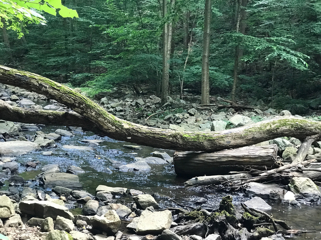Schooleys Mountain County Park景点图片