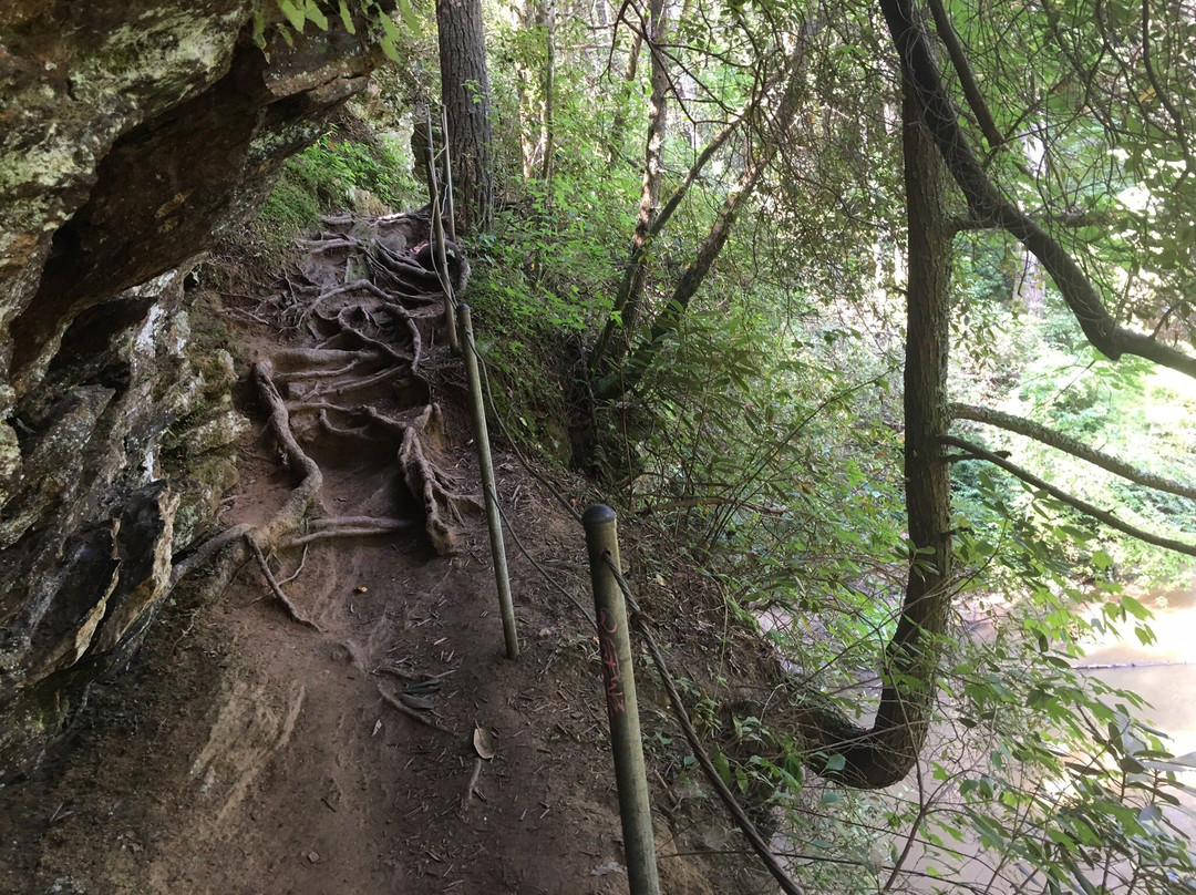 Panther Creek Recreation Area景点图片
