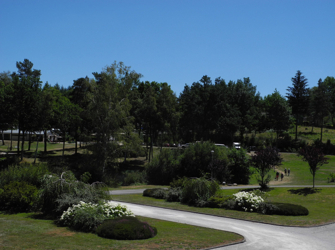 Logis Hôtel du Lac主图