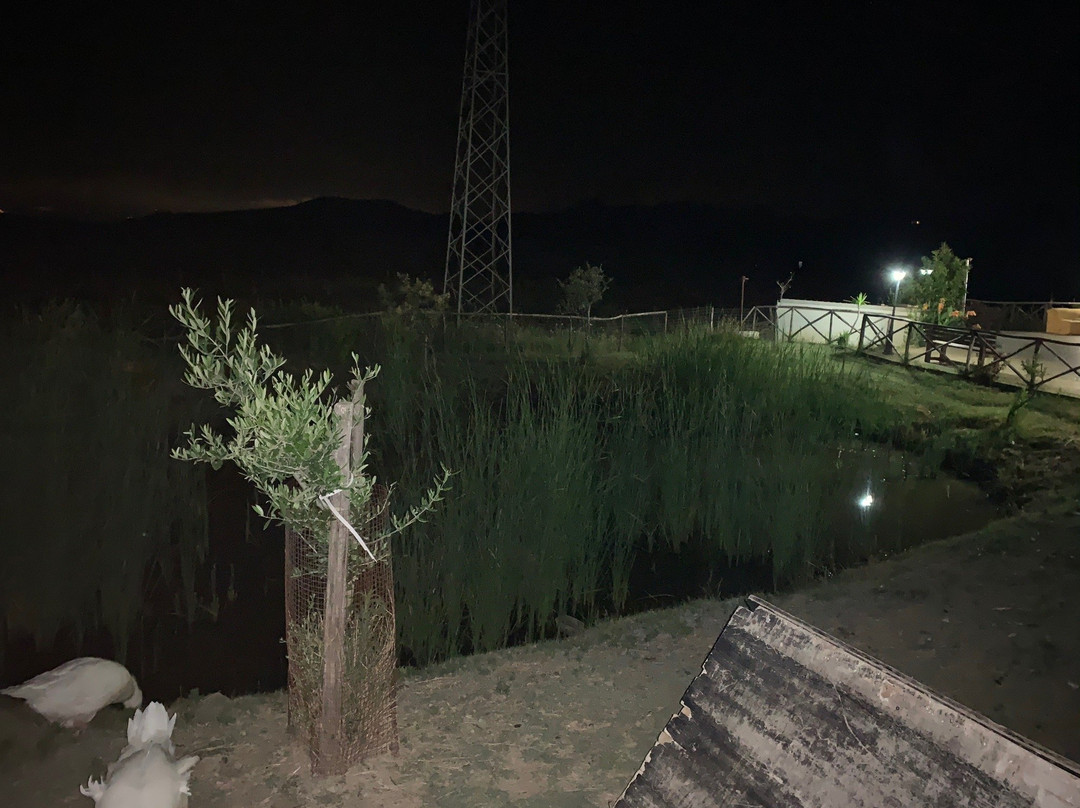 La Collina Dolce主图