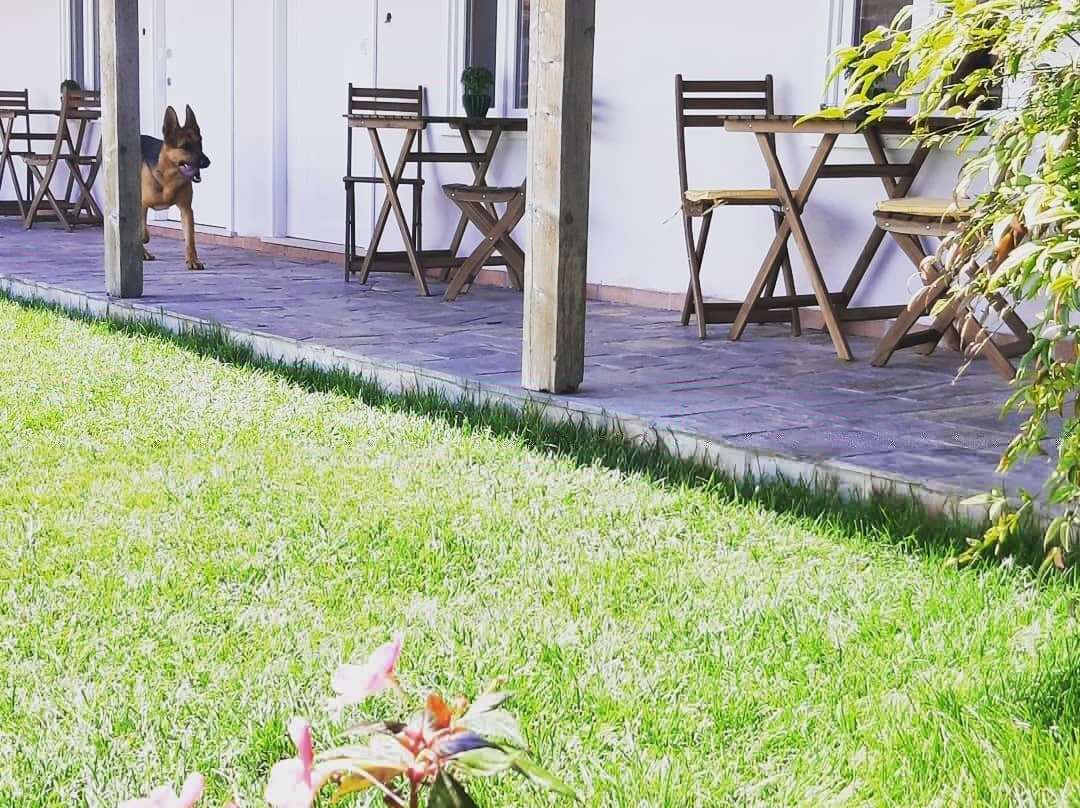 Villa Dos Corceis主图