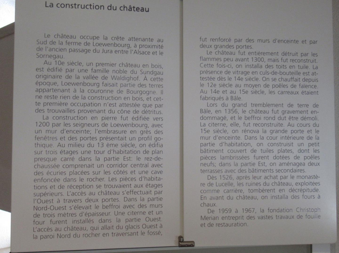 Chateau de Lowenburg景点图片