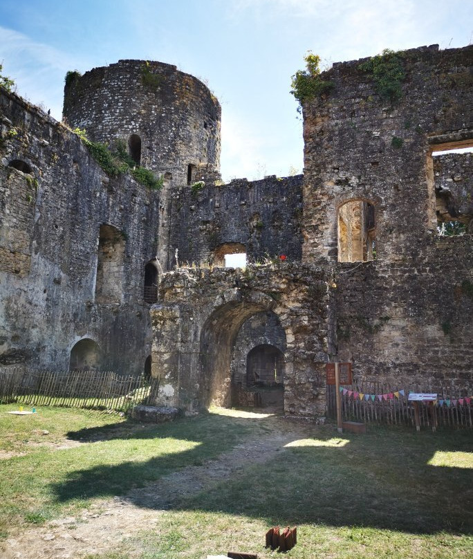 Château de Villandraut景点图片