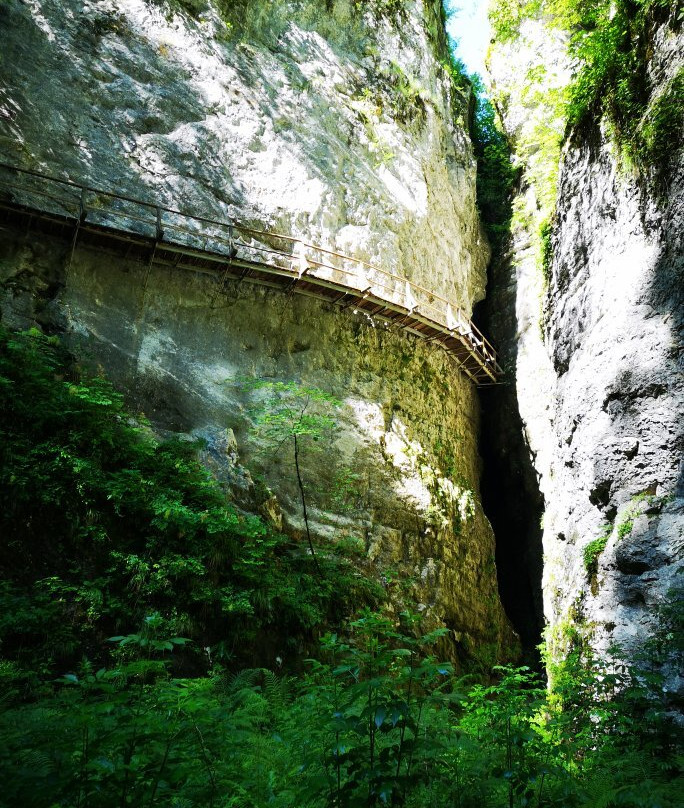 Pokljuška soteska Gorge景点图片