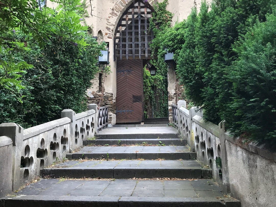 Burg Lahneck景点图片