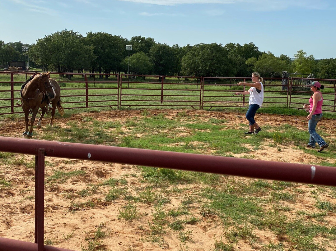 Wright Direction Horsemanship-Alvord必去景点