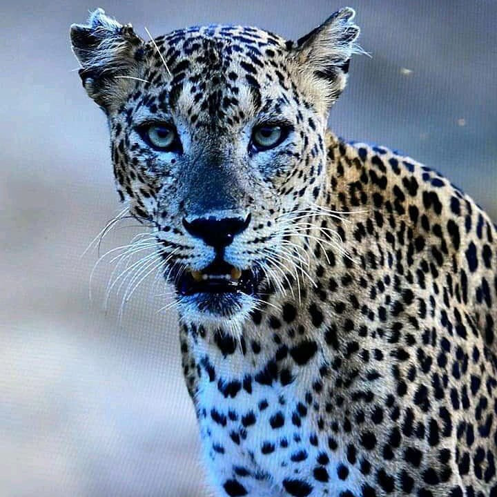 Wego Srilanka Taxi & Tours-蒂瑟默哈拉默必去景点