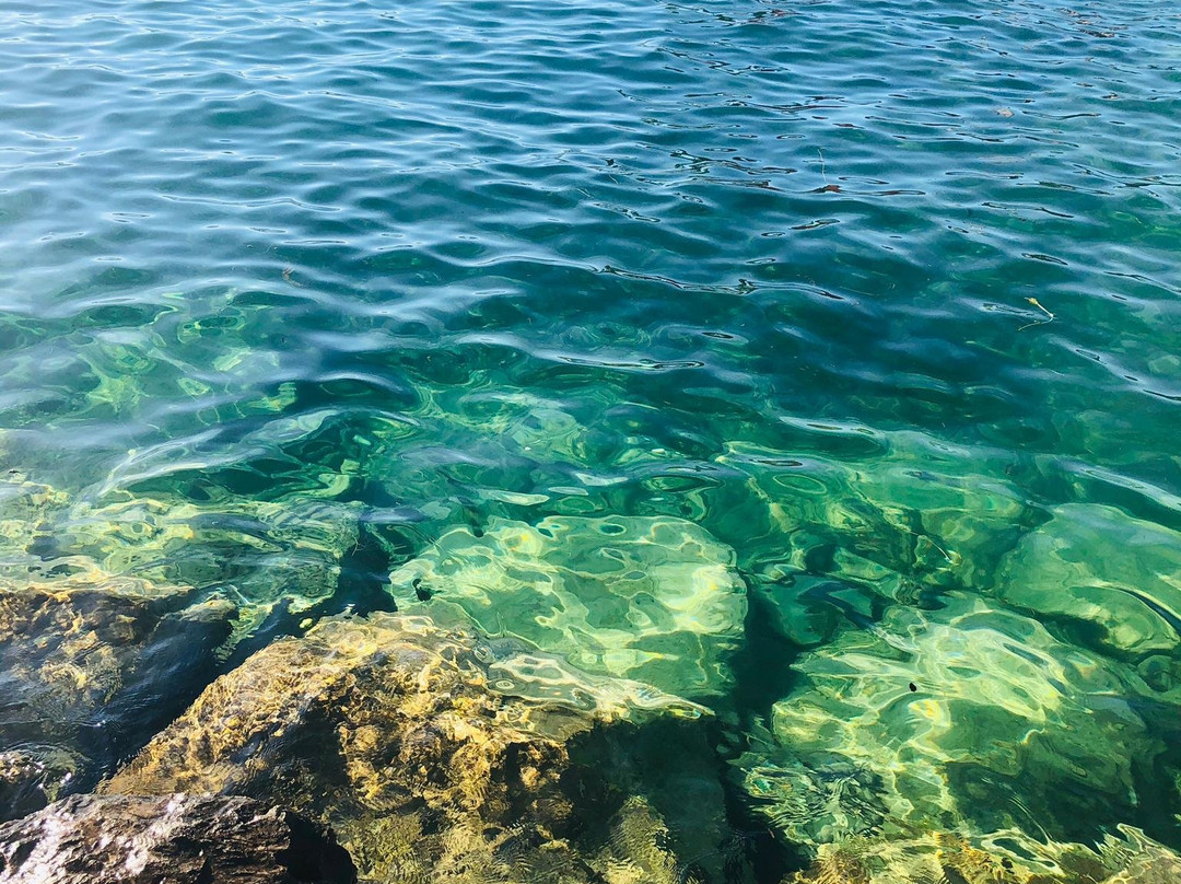 Genève-Plage-日内瓦必去景点