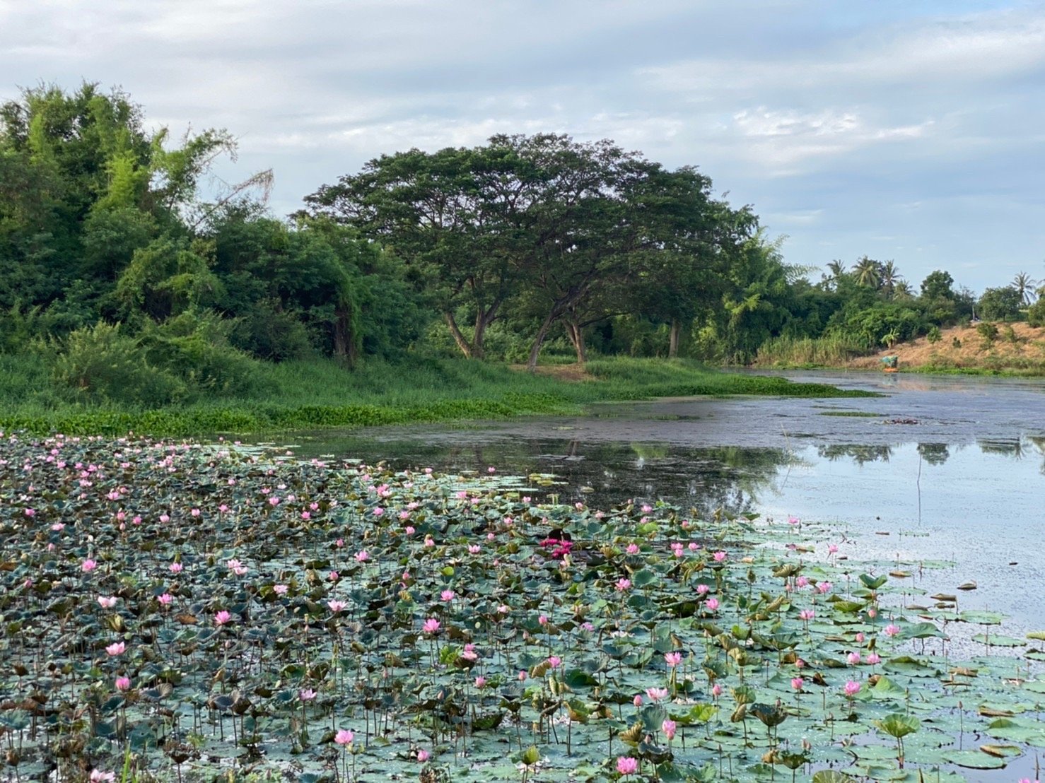 雷克斯桂河渡假酒店-浴室