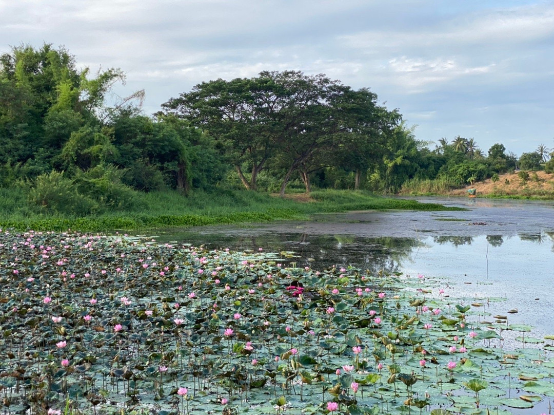 雷克斯桂河渡假酒店主图
