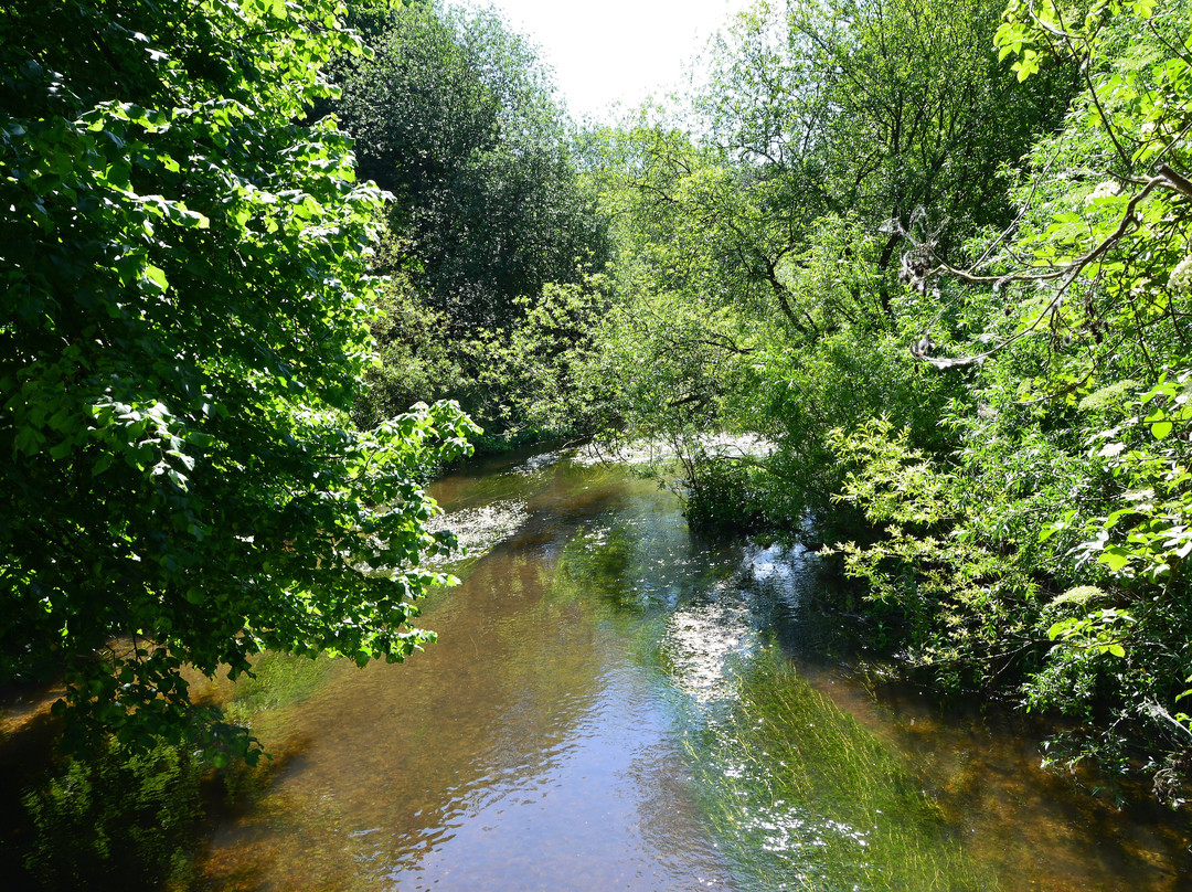 Stanborough Park-韦林花园城必去景点