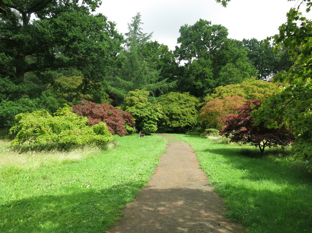 Westonbirt Arboretum景点图片