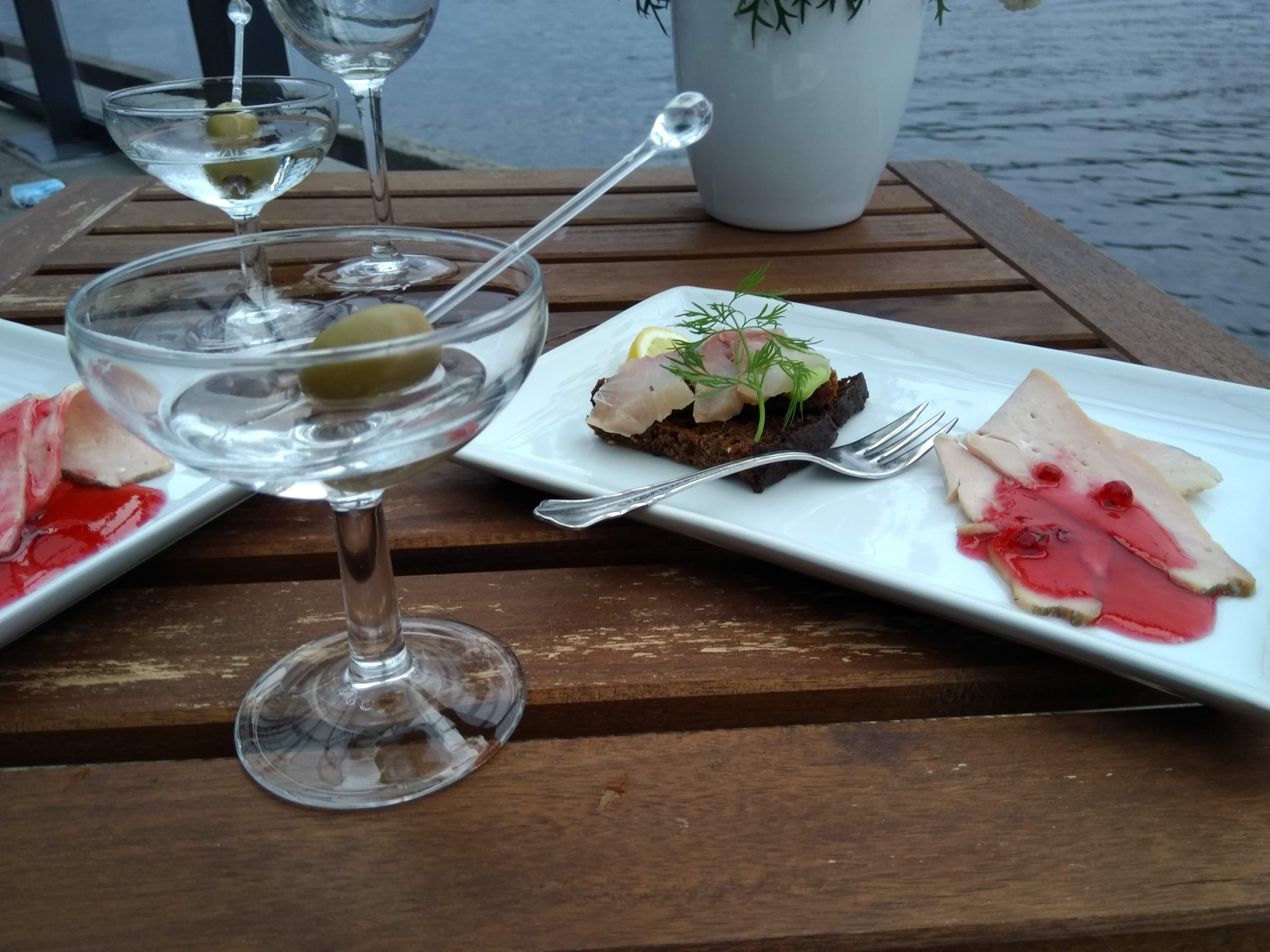Finlandia Hotel Alba-餐饮