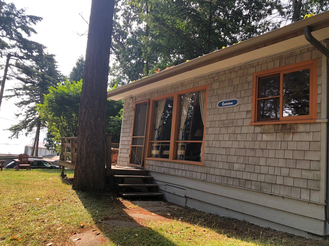 Blue Vista Resort主图