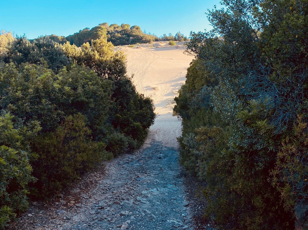 S'Archiotta B&B主图