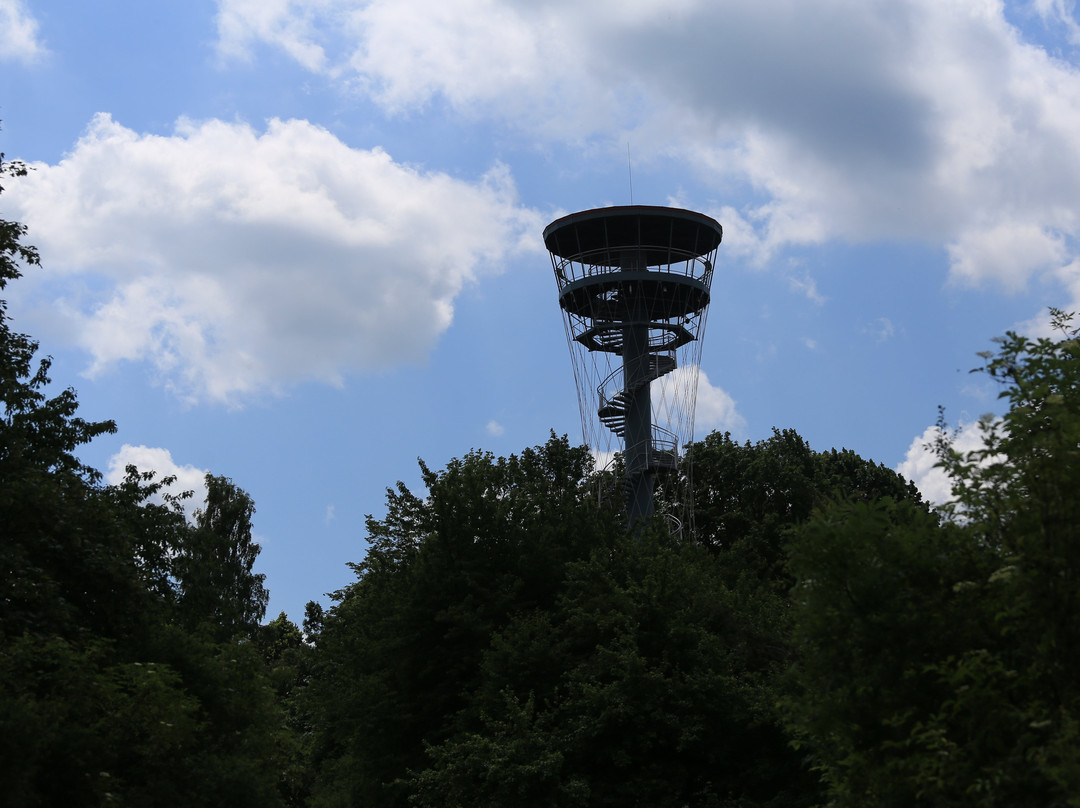 Tachov lookout tower - Vysoká景点图片